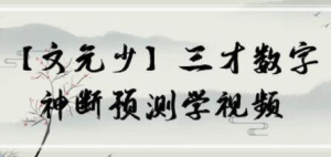 文元少 三才数字神断预测学视频 16集百度网盘插图