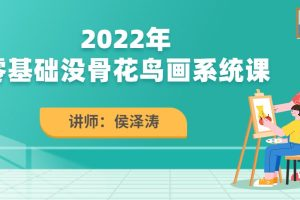侯泽涛2022零基础没骨花鸟画系统课百度网盘插图