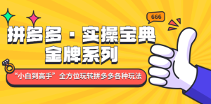 拼多多・实操宝典：金牌系列“小白到高手”带你全方位玩转拼多多各种玩法插图