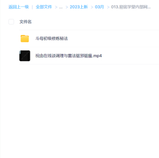 易铭学堂内部网课实训雷法实操