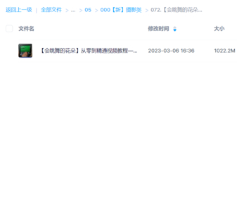 【会跳舞的花朵】从零到精通视频教程—2小时深度掌握频闪花卉创意摄影