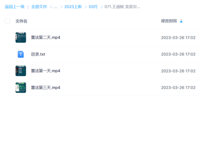 王道帧 龙昊宗道医堂 雷法入门3节
