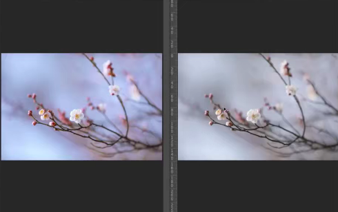 葛宏军老师主讲梅花四摄，梅花摄影技巧与后期百度网盘