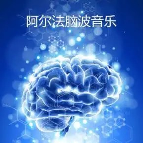 1000首阿尔法A脑波功能音乐百度网盘