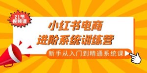 小红书电商新手入门到精通实操课，从入门到精通做爆款笔记百度网盘插图