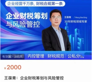 王葆青：企业财税筹划与风险管控百度网盘插图