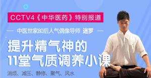 气质提升 提升精气神的气质调理小课百度网盘插图