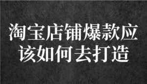 冠东・爆款店铺淘系爆款选品方法，一个好选品思路决定是否盈利百度网盘插图