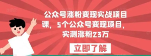 公众号涨粉变现实战项目课，5个公众号变现，涨粉23万百度网盘插图