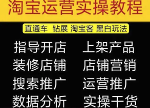 2023淘宝开店教程0基础到高级全套视频网店电商运营培训教学课程（2月更新）百度网盘插图