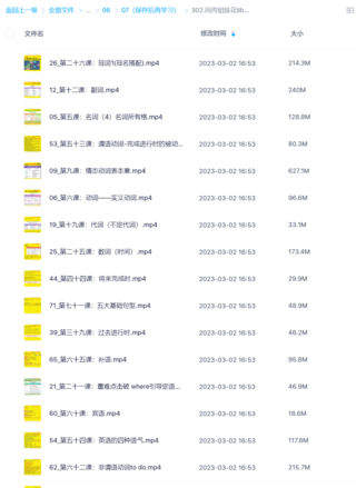 同传姐妹花lib英语语法零基础到精通