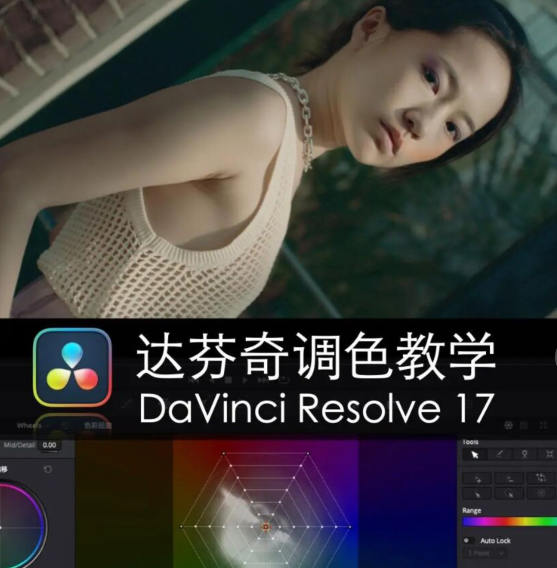 舞光弄影达芬奇调色教学DaVinci Resolve17速成教学大师指南课百度网盘
