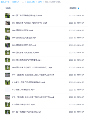 【易学上新】长安师智-太极拳如何气沉丹田16课时