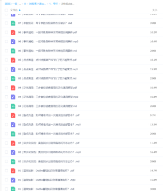 【极客时间】219-Dubbo源码剖析与实战