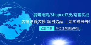 跨境电商Shopee虾皮运营实操直播课（10节系统课）百度网盘插图