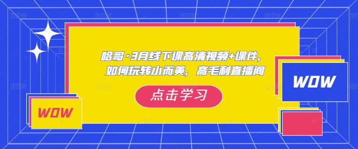 哈哥・3月线下实操课高清视频+课件，如何玩转小而美高毛利直播间百度网盘