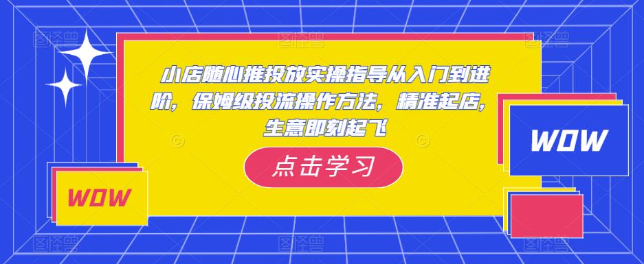 小店随心推投放实操指导从入门到进阶，保姆级投流操作方法，精准起店百度网盘