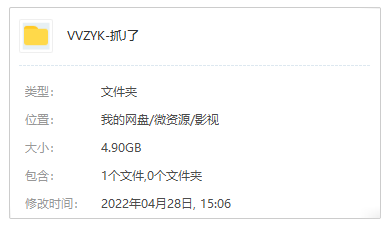 波兰剧《抓紧了》高清1080P中字