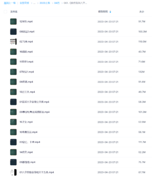 《秘传盲派八字》视频16集