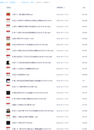 张一勺天机奇门风水讲座视频48集