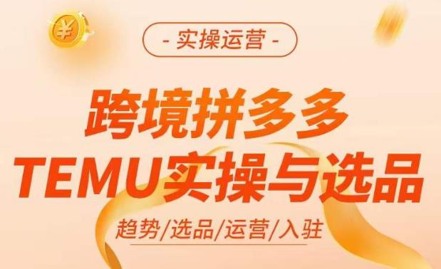 跨境拼多多TEMU实操与选品，​掌握平台运营方法技巧，选品避坑12条标准百度网盘