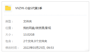 《镀金时代/The Gilded Age》高清1080P英语中字