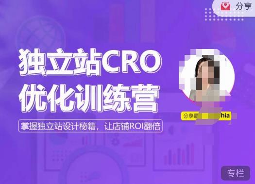 独立站CRO优化训练营，掌握独立站设计，打造高转化独立站，让店铺ROI翻倍百度网盘