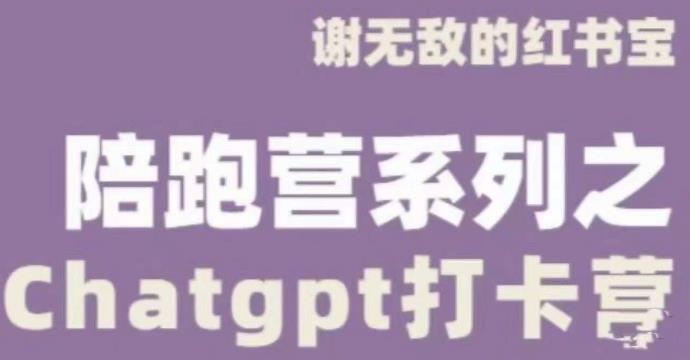 谢无敌ChatGPT打卡营，教你更好地使用ChatGPT来提高工作效率百度网盘
