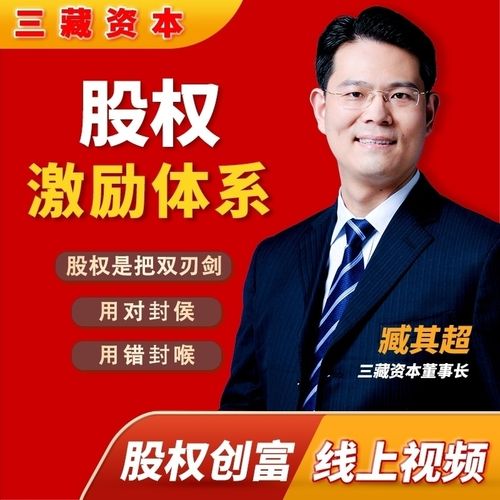 臧其超：股权激励体系（爆款视频课）百度网盘