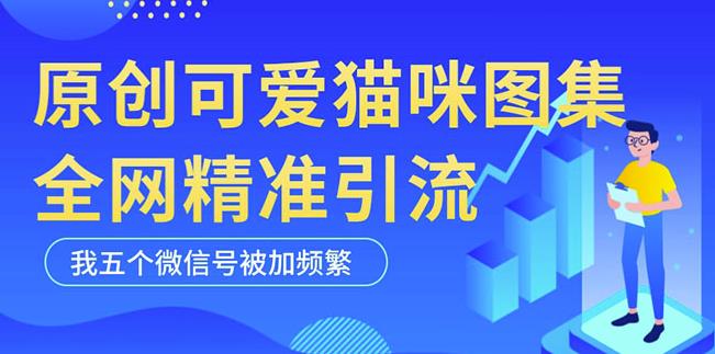 黑科技纯原创可爱猫咪图片，全网精准引流，实操5个VX号被加频繁百度网盘