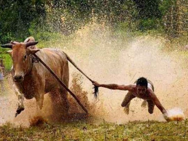 股哥训练营 只会炒股第24期2022.4百度网盘