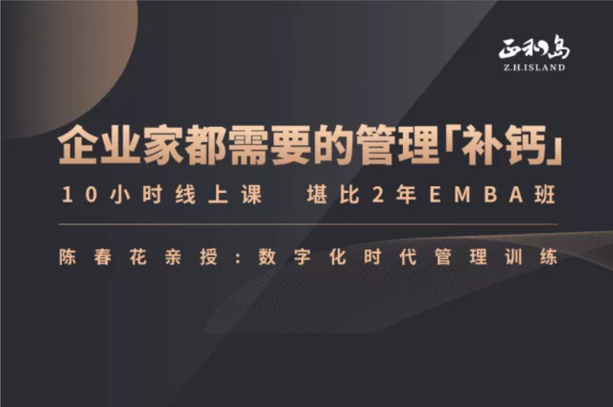 陈春花《数字化时代的管理训练》（30年管理智慧）20集百度网盘