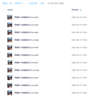 夏光明弟子德镜老师断六亲藏箱秘法视频11集