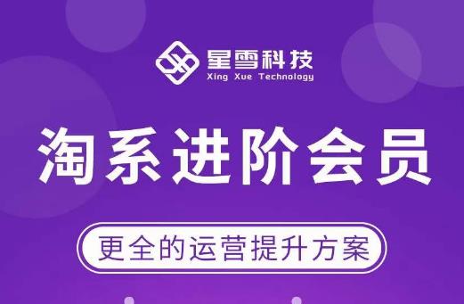 星雪・淘系进阶课程，快速提升突破技能流量瓶颈必备百度网盘