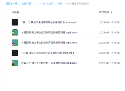 拂尘子生肖定制开运头像特训班