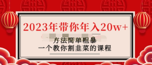韭菜联盟《2023年带你年入20w》教你怎么割韭菜百度网盘插图