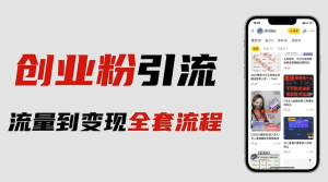 价值980的2023最新暴力引流创业粉丝玩法，单日被动引流50+创业粉百度网盘插图