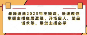 暴躁迪迪2023年主播课，快速教你掌握主播底层逻辑，开场留人塑品话术等，带货主播必学百度网盘插图