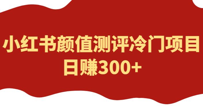 外面1980的项目，小红书颜值测评冷门项目日赚300百度网盘