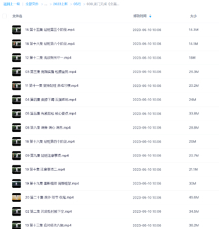 龙门天成《全真龙门派站桩养生功》20集