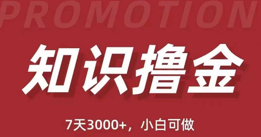 抖音知识撸金项目：简单粗暴日入1000+当天见收益(教程+资料)百度网盘