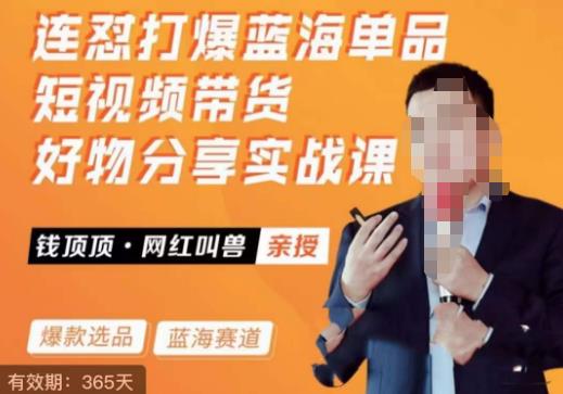 网红叫兽・连怼打爆蓝海单品，短视频带货好物分享实战课百度网盘