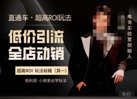 电商冰可乐・直通车・《低价引流・全店动销》，直通车・超高ROI玩法百度网盘