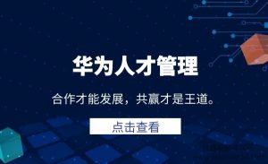 冉涛-华为人才管理课程百度网盘插图