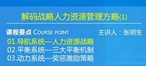 张明生·解码战略人力资源管理方略百度网盘插图