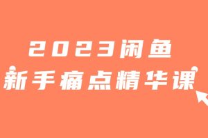 2023闲鱼新手痛点精华课程（18节课）百度网盘