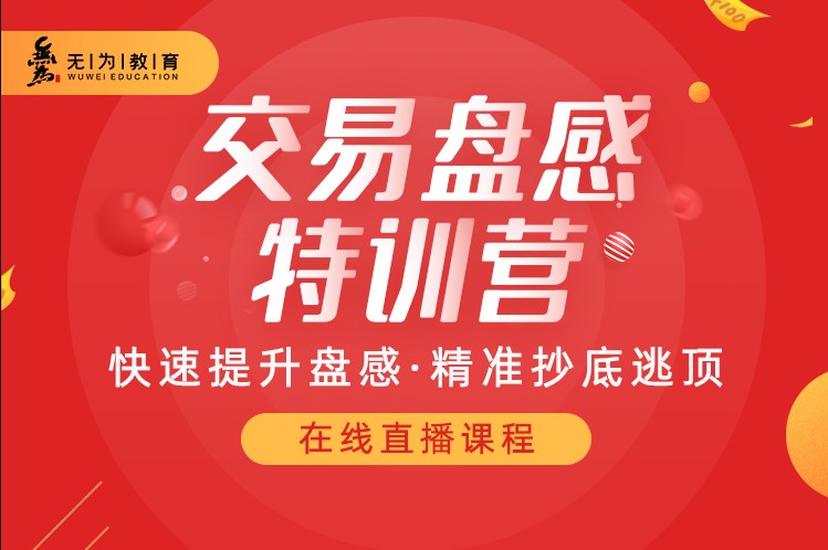 无为老师259期盘感特训营课程百度网盘