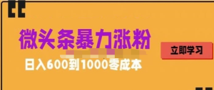 微头条暴力涨粉技巧搬运文案就能涨几万粉丝，0成本日赚600百度网盘插图