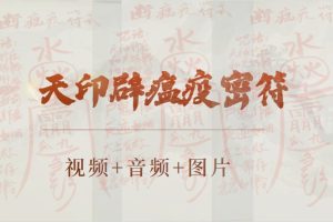 天印辟瘟疫密符百度网盘