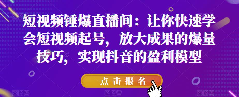 短视频锤爆直播间：快速短视频起号，实现抖音盈利模型百度网盘